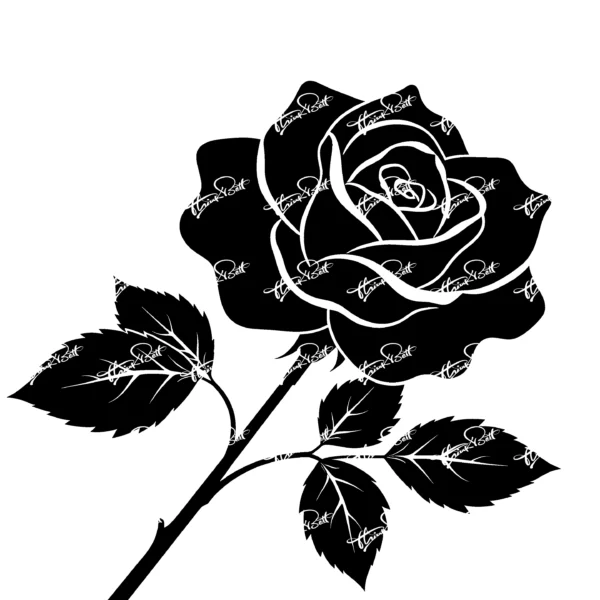 Thinkbett_Flower_0015