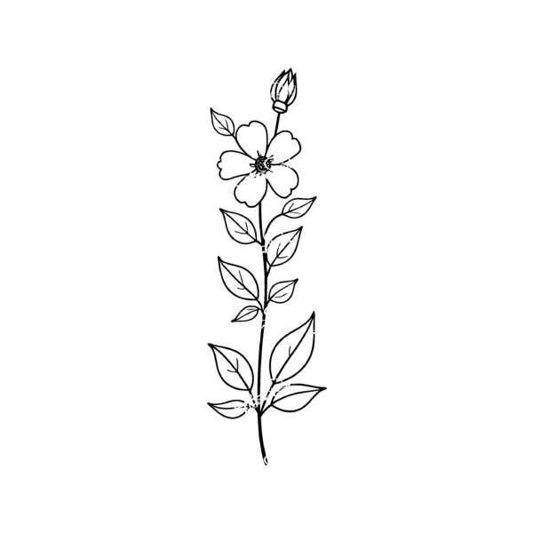 Thinkbett_Flower_art_0008