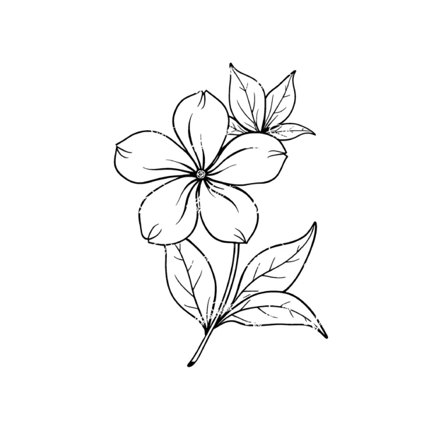 Thinkbett_Flower_art_0024