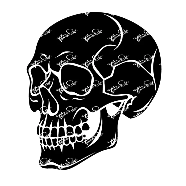 Thinkbett_Skull_0009