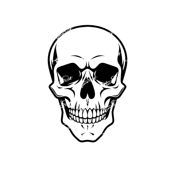 Thinkbett_Skull_0021