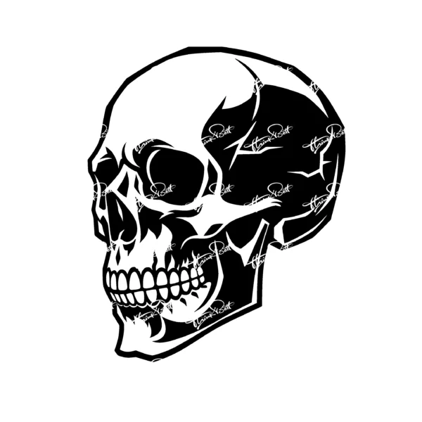 Thinkbett_Skull_0022