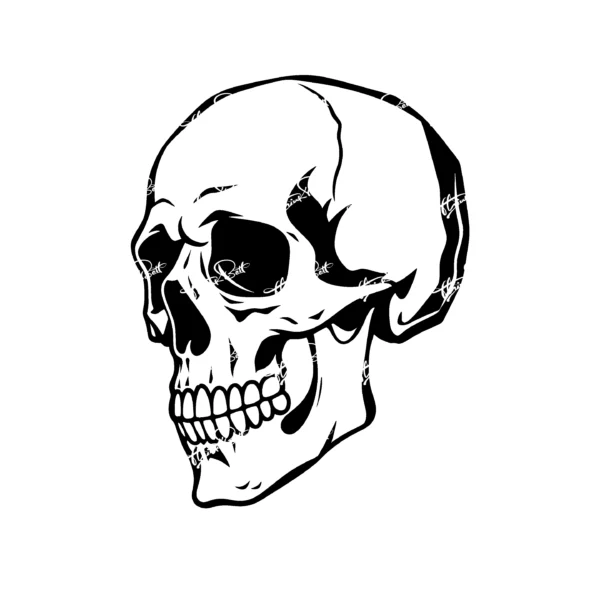 Thinkbett_Skull_0028
